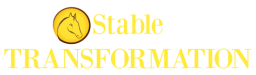 Stable Transformation